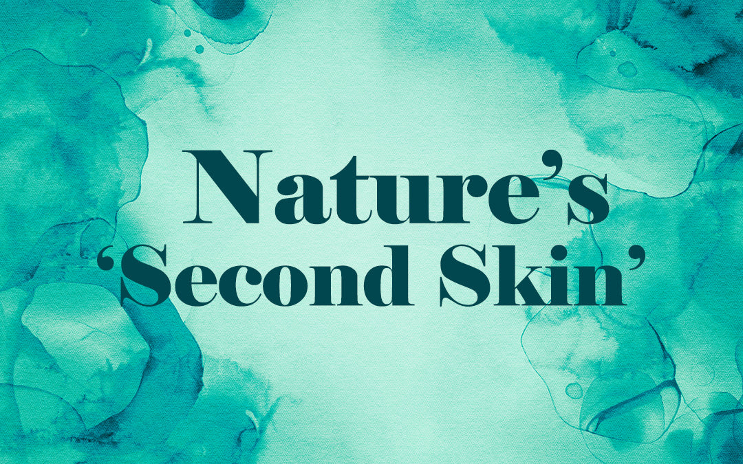 Nature’s ‘Second Skin’ - Bioactive Native Collagen